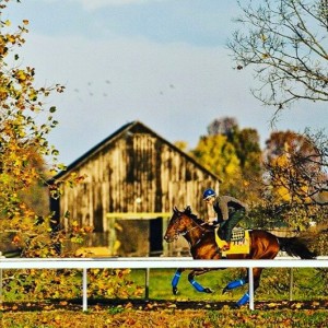 American Pharoah