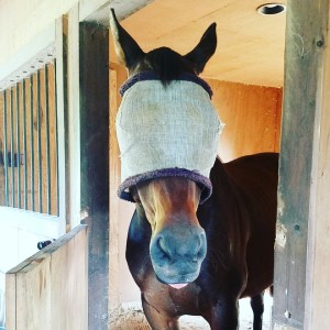 Bailey Update