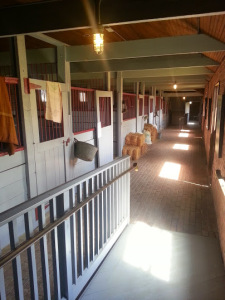 Belair Stud 5
