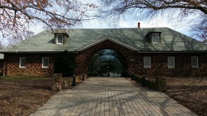 Belair Stud 7