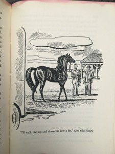 Black Stallion 10