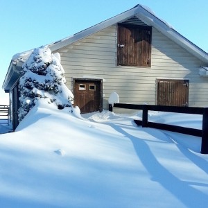 Blizzard 1