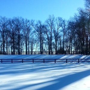 Blizzard 3
