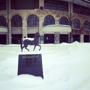 Breeder's Cup