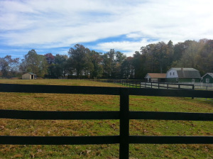 Fence 1