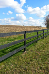 Fence 2