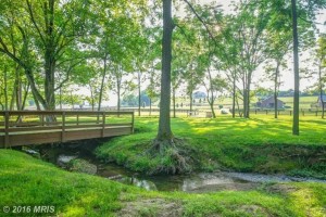 Hess Farm 5