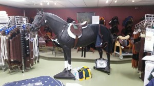 Horse Country 6