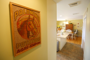 Palomino