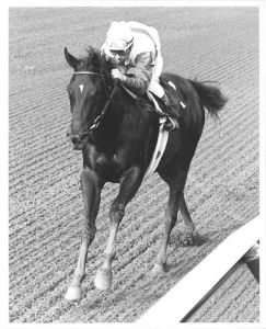 Ruffian 2