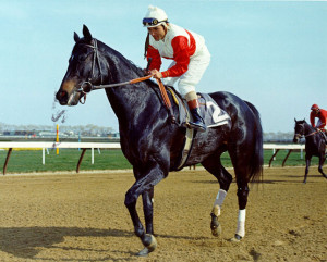 Ruffian 4