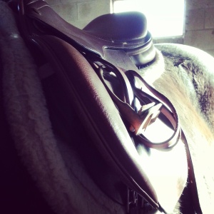 Saddle