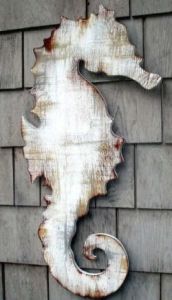 Seahorse 5