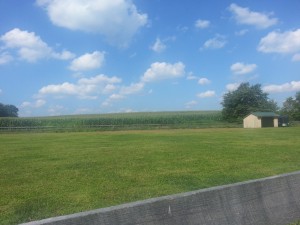I know this is a picture of my side field and not of Bailey. I just haven't taken too many pics of him recently. :(