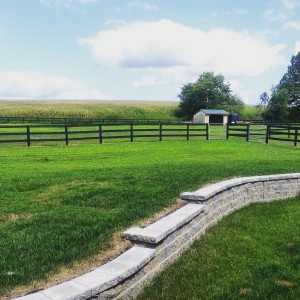 Side Field and Wall