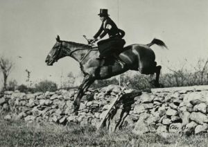 Sidesaddle 3