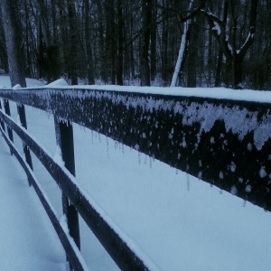 Winter 2015
